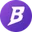 Nest Basis Vault logo