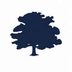 Forest Road USDfr logo